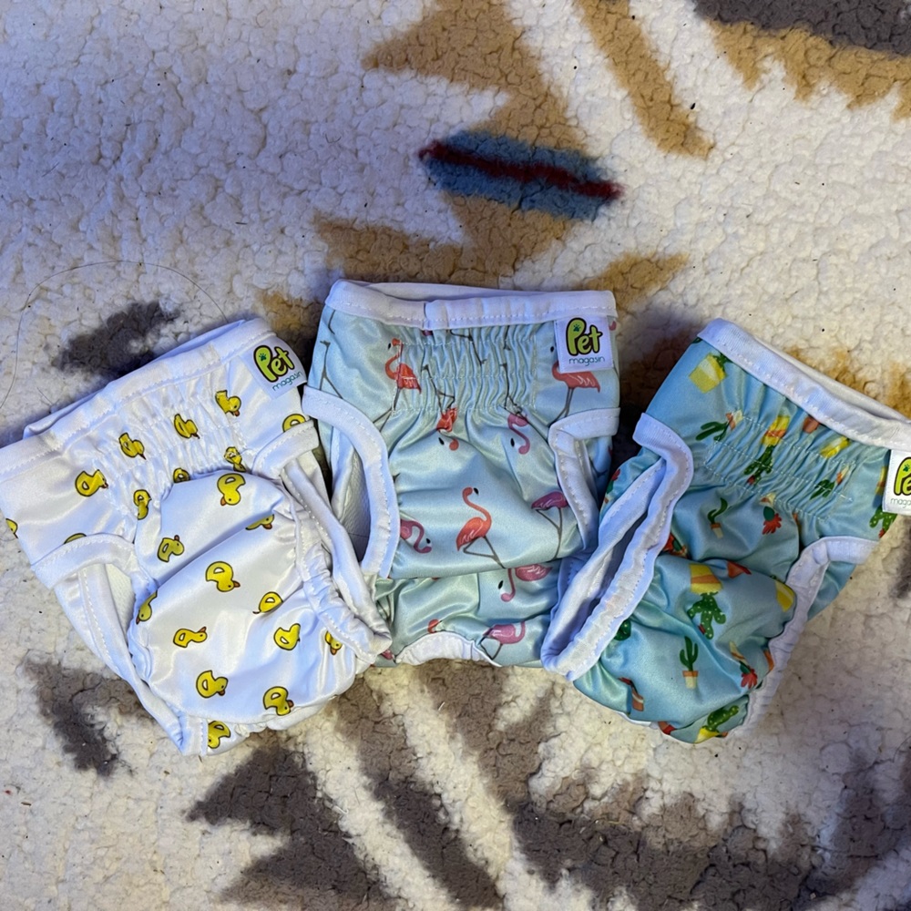Pet diapers(never used)